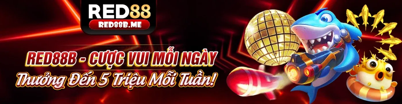 Hình ảnh chính trang tin tức 888vnd